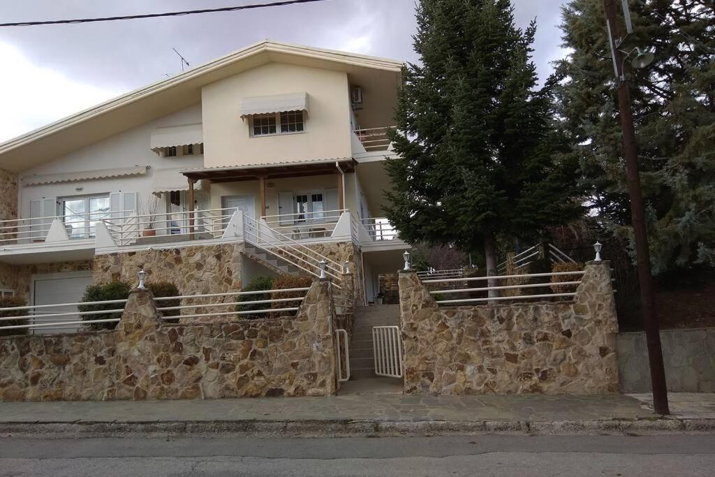 Apartmán The Stone House Kozani Exteriér fotografie